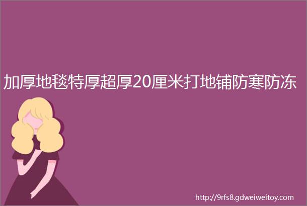 加厚地毯特厚超厚20厘米打地铺防寒防冻