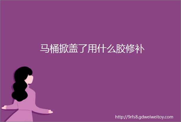 马桶掀盖了用什么胶修补