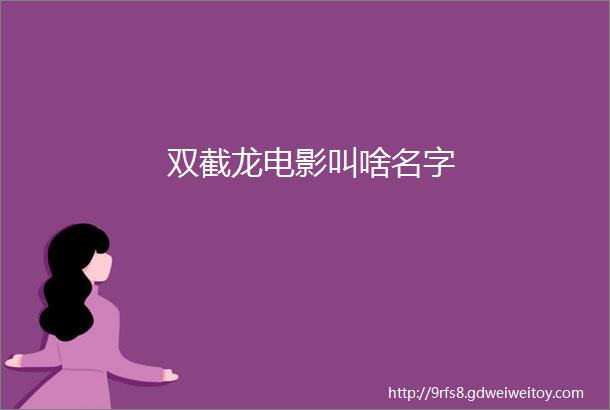 双截龙电影叫啥名字