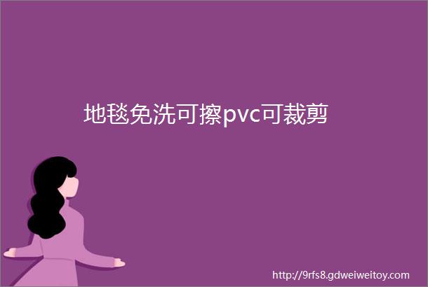 地毯免洗可擦pvc可裁剪