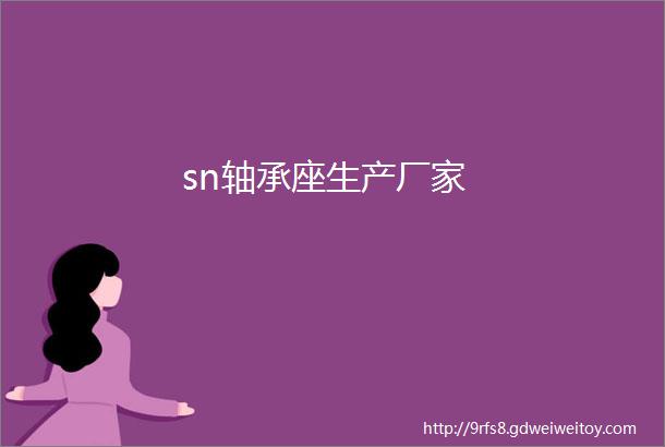 sn轴承座生产厂家