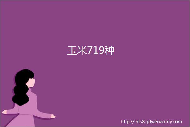 玉米719种