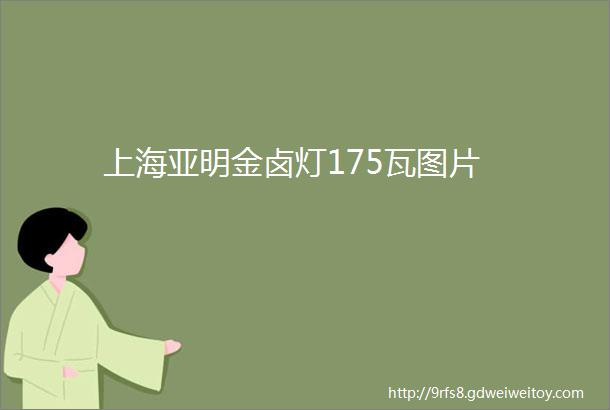 上海亚明金卤灯175瓦图片