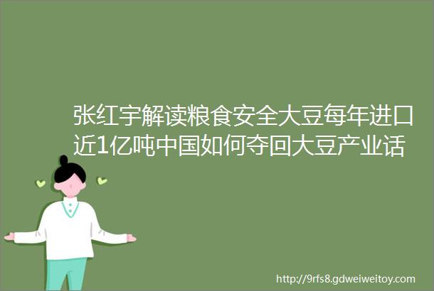 张红宇解读粮食安全大豆每年进口近1亿吨中国如何夺回大豆产业话语权聊一波