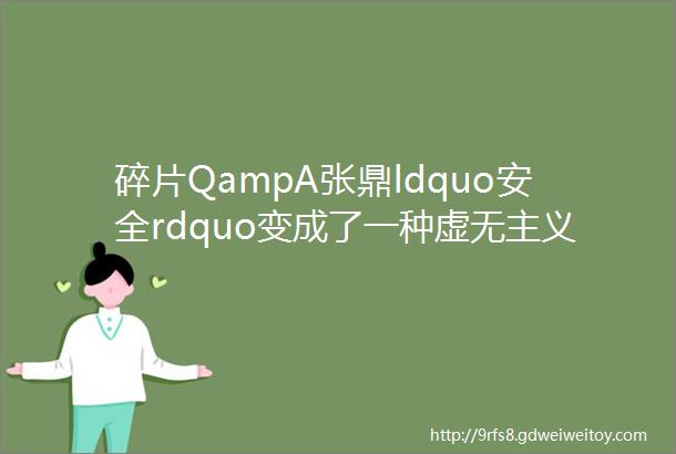 碎片QampA张鼎ldquo安全rdquo变成了一种虚无主义的东西