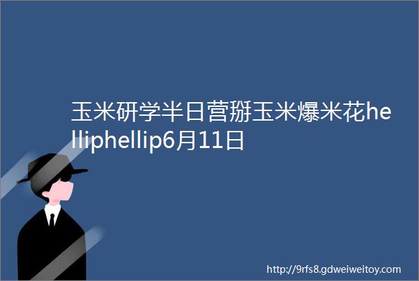 玉米研学半日营掰玉米爆米花helliphellip6月11日等你参加