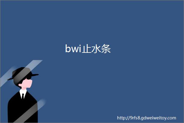 bwi止水条