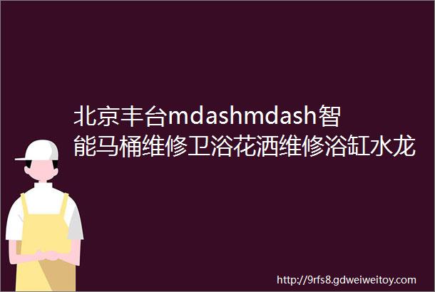 北京丰台mdashmdash智能马桶维修卫浴花洒维修浴缸水龙头维修小便池感应伸缩维修热线4006602296