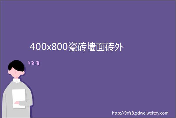 400x800瓷砖墙面砖外