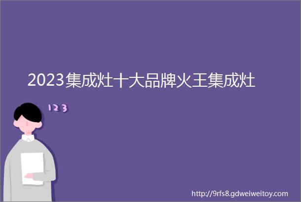 2023集成灶十大品牌火王集成灶