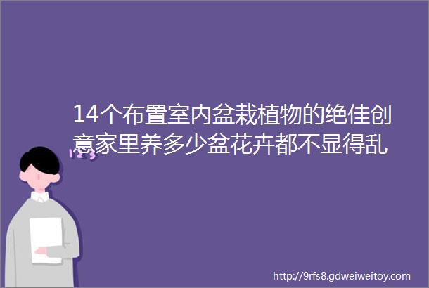 14个布置室内盆栽植物的绝佳创意家里养多少盆花卉都不显得乱