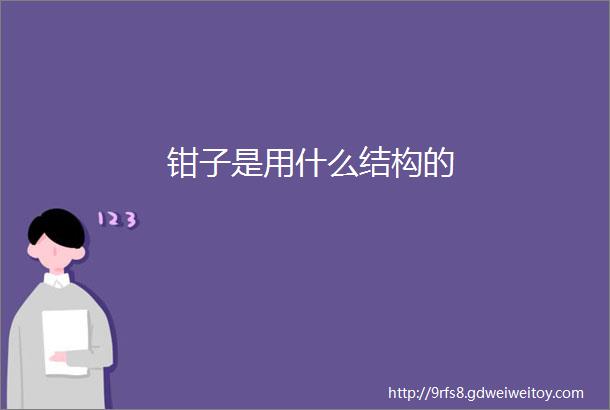 钳子是用什么结构的